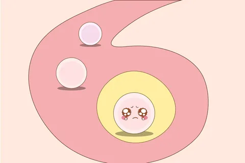 促排当日孕酮与成熟卵子比值：一项大样本研究为何不支持设定临床阈值