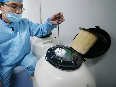 胚胎移植液里的透明质酸：一项队列研究如何解读&ldquo;未见额外获益&rdquo;