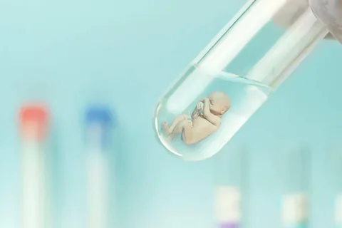 试管婴儿实验室自动化：哪些环节可以标准化，哪些仍离不开胚胎师